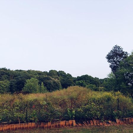 Laforesta By Mahabaleshwar Stay Exteriér fotografie